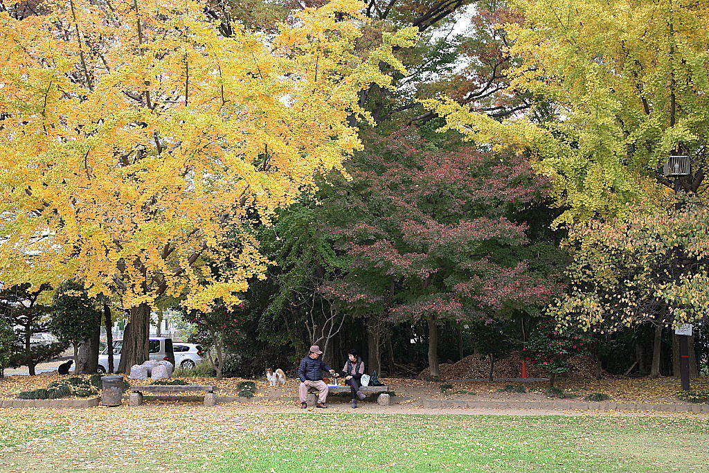 越谷の久伊豆神社にて01