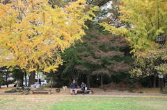 越谷の久伊豆神社にて01
