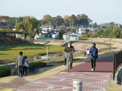 2020.11.16　散歩の途中で05