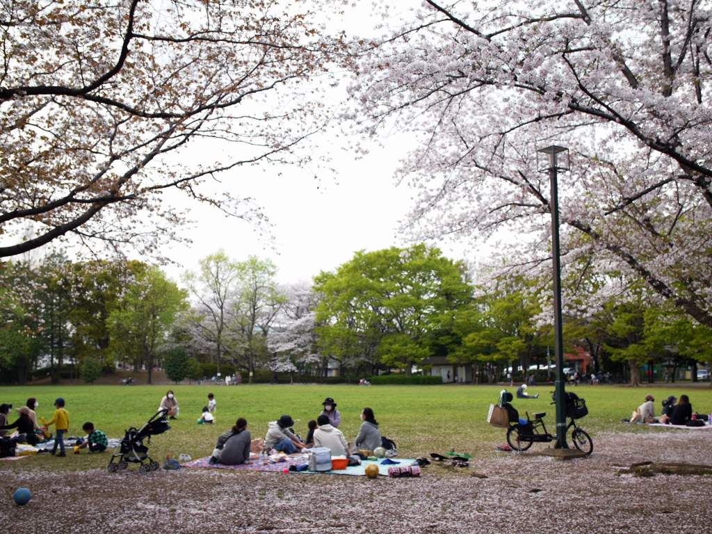 2021年３月の桜