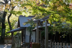 紅葉はこれからの久伊豆神社境内13