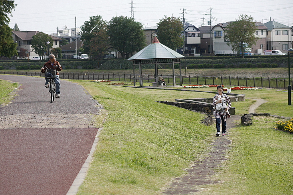 市役所前の土手03