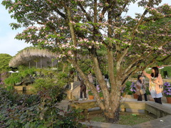 フラワーパーク06