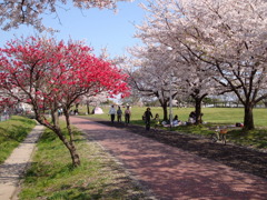 埼玉県民福祉村７