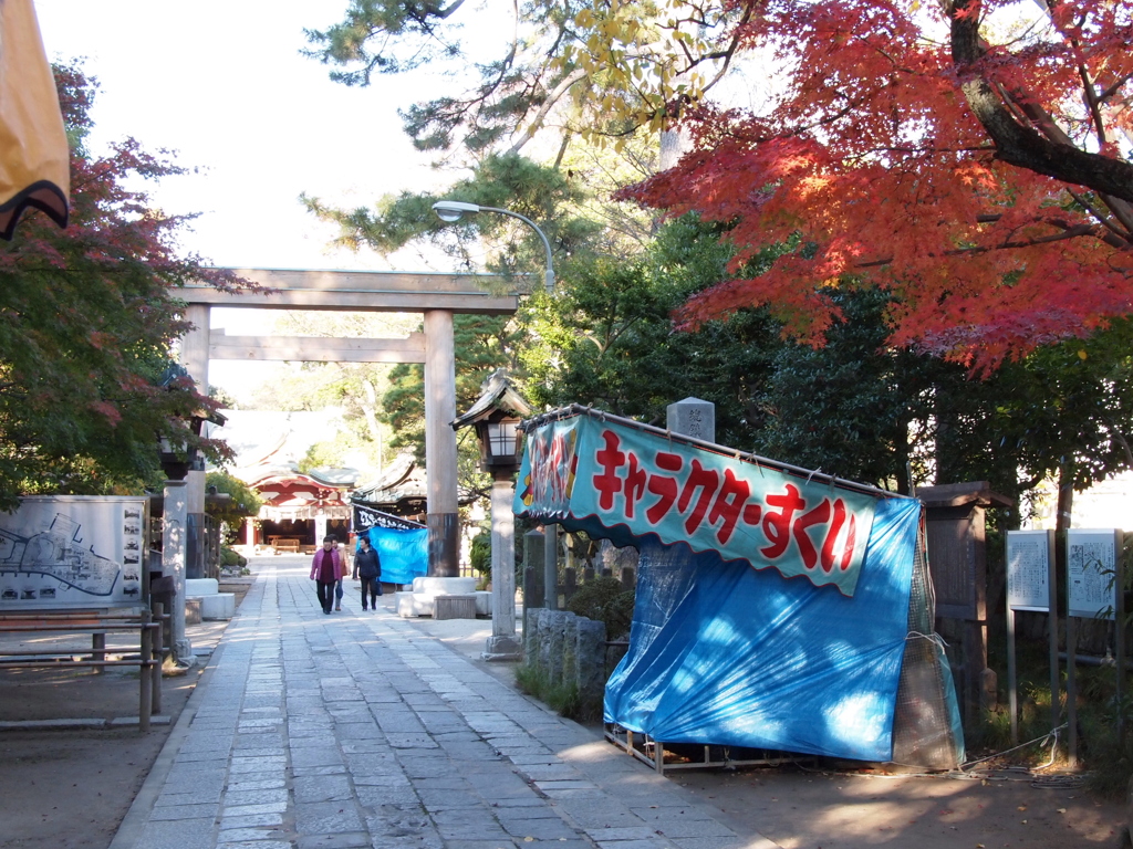 2019　久伊豆神社の紅葉21