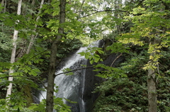 雲居の滝２