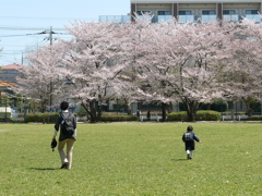 第一公園への散歩08