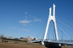 市役所の土手２１