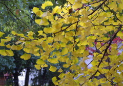 久伊豆神社にて３