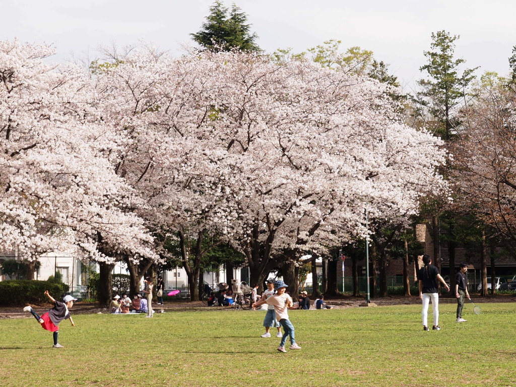 2021年３月の桜