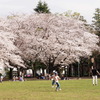 2021年３月の桜