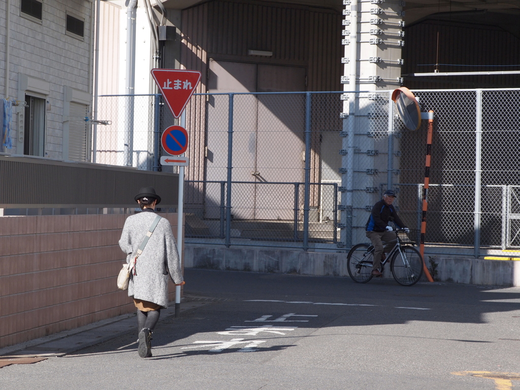 越谷駅周辺の散歩02