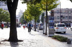 市役所前の散歩10