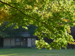 再び久伊豆神社で3