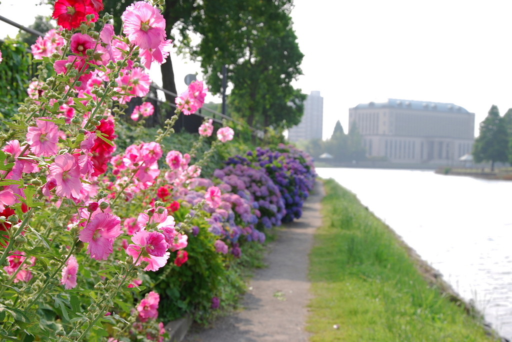 市役所の土手１３