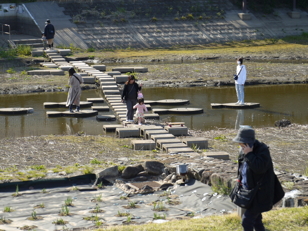 2020.4.6　散歩の途中で06