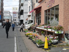 花屋さんの店頭で01