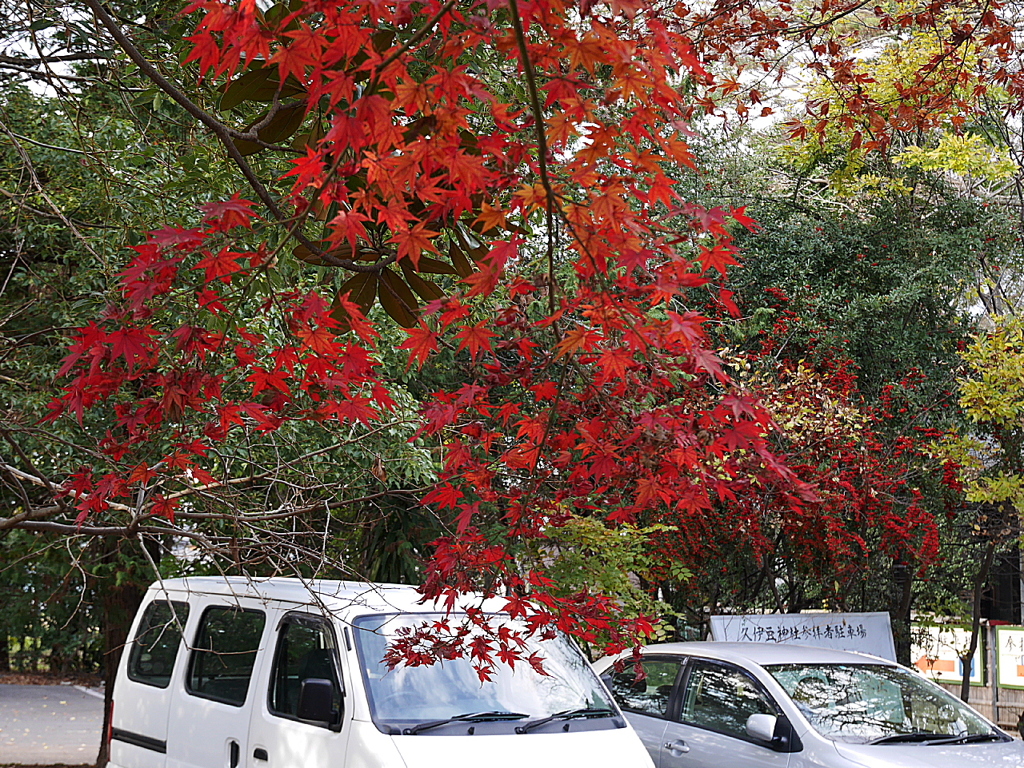 久伊豆神社の紅葉その２02