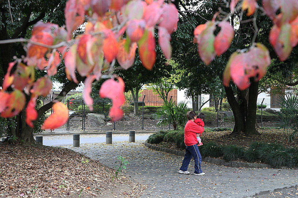 越谷の久伊豆神社にて04
