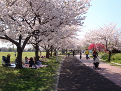 埼玉県民福祉村６