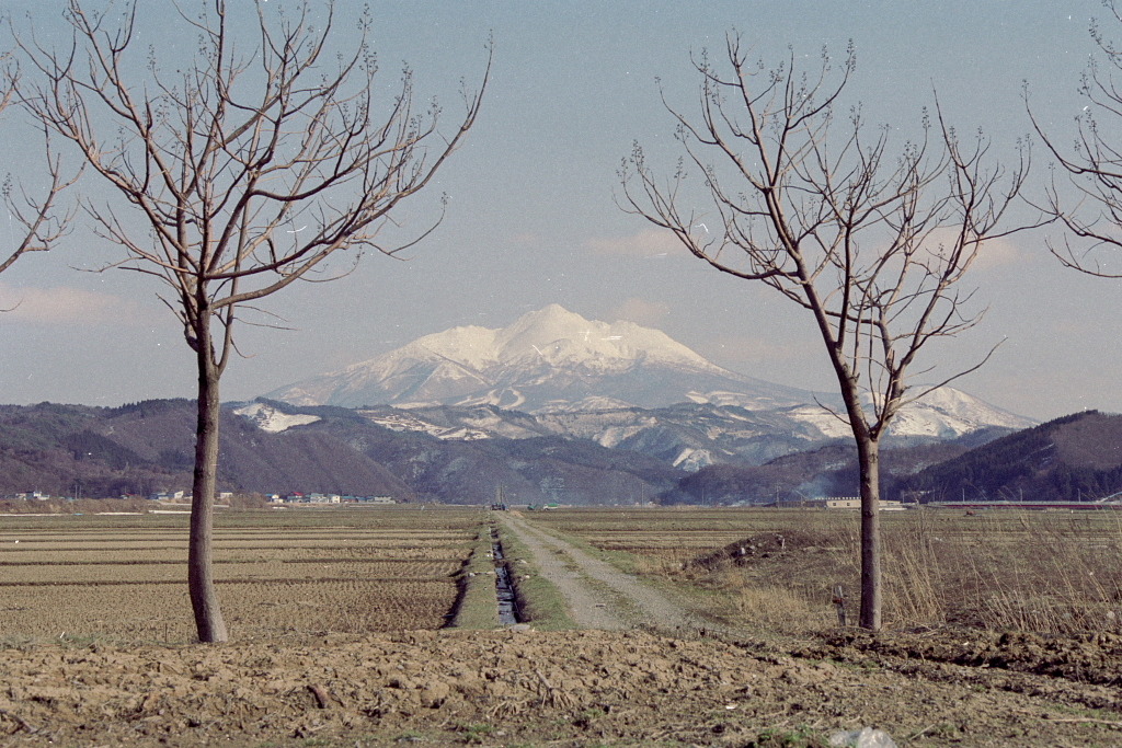春近き田んぼ道　1994.3.30