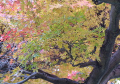 久伊豆神社にて１