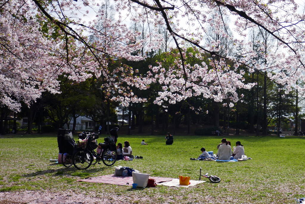 2021年４月の桜