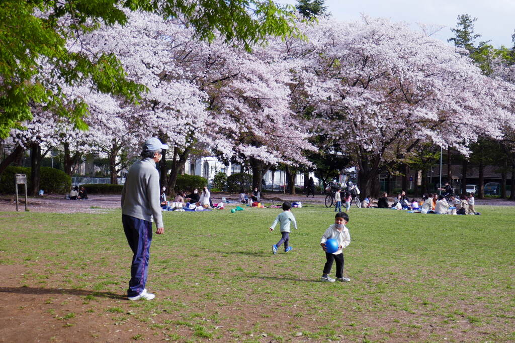 2021年４月の桜