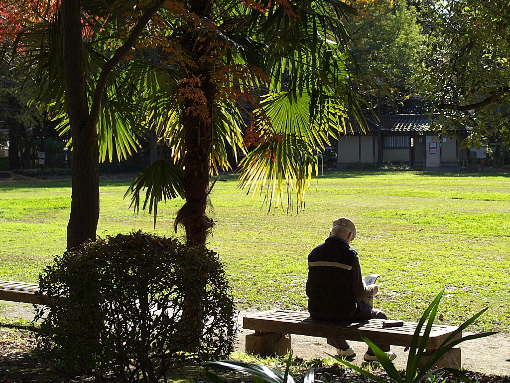久伊豆神社の紅葉19