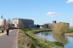 市役所の土手２２