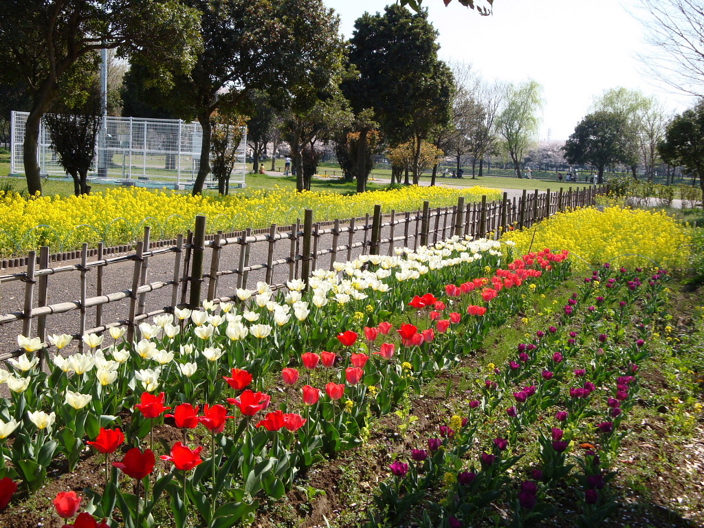 埼玉県民福祉村１