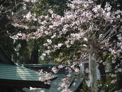 市役所の土手で６