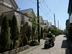 第一公園への散歩02