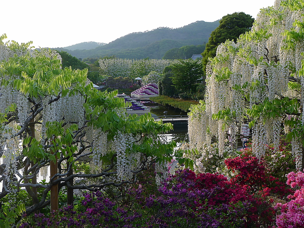 フラワーパーク05