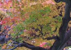 久伊豆神社にて３