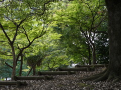 第一公園で