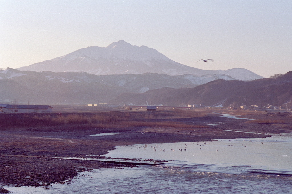 岩木山と海鳥②1994.3.31