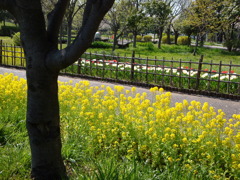 埼玉県民福祉村８