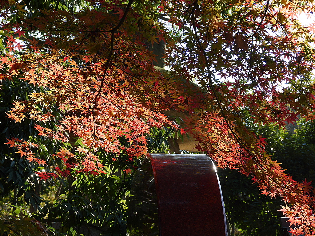 久伊豆神社の紅葉06