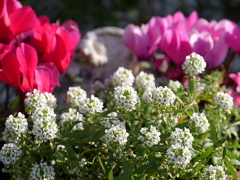 南越谷第１公園にて02