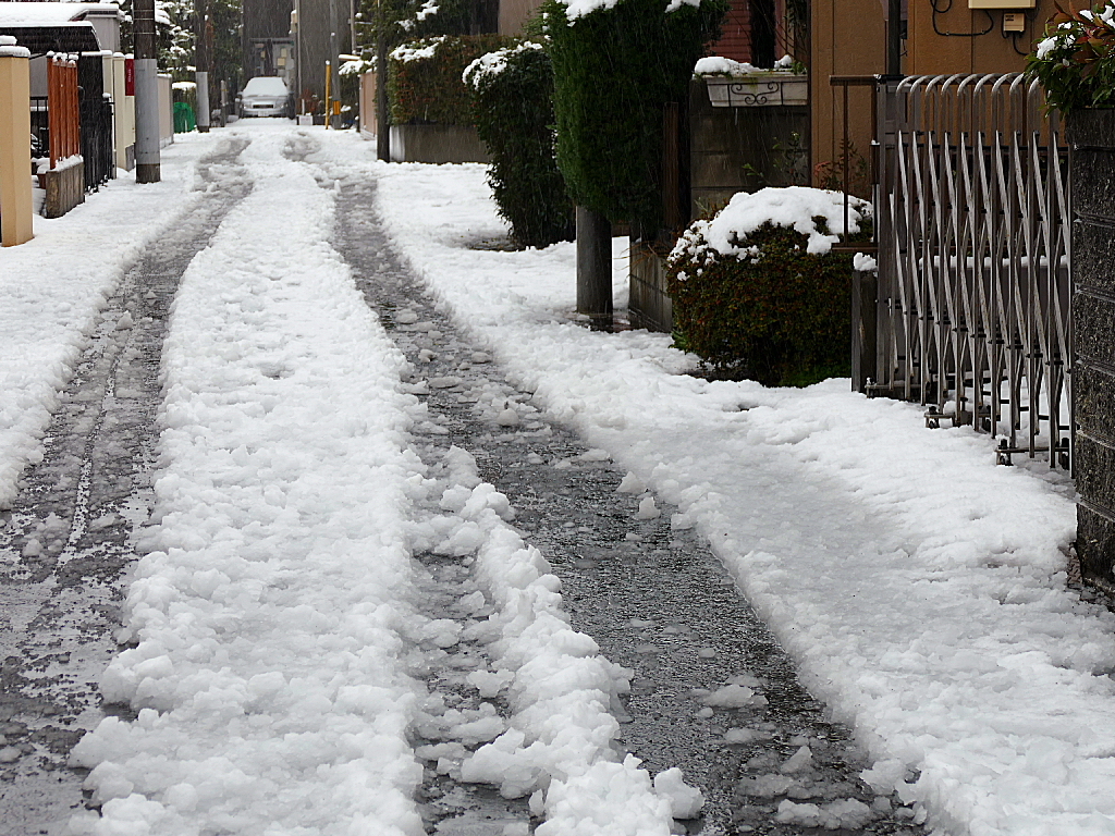 雪の朝05