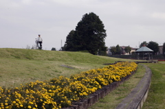 市役所前の散歩08