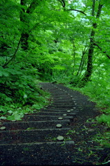 くろくまの滝04