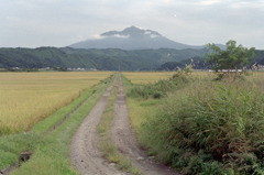 秋の田んぼ道　1994.9.16