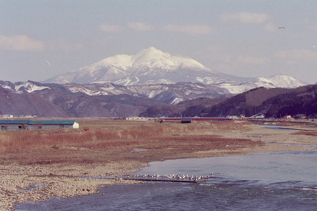 岩木山と海鳥③1994.3.30