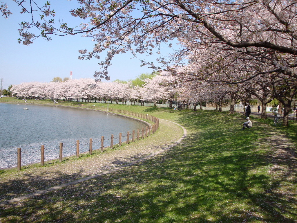 埼玉県民福祉村４