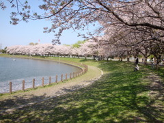 埼玉県民福祉村４