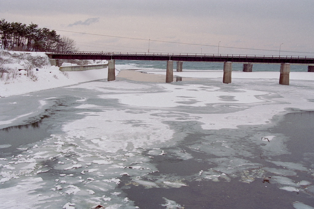冬の河口　1994.1.22