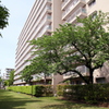 緑のマンション7
