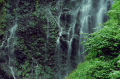 くろくまの滝③　1996.8